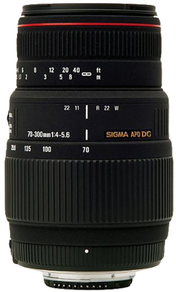 Объектив Sigma 70-300 mm f4-5.6 APO DG Macro for Canon
